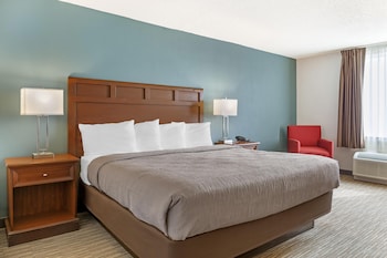 Room, 1 King Bed
