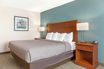 Room, 1 King Bed, Roll-in Shower