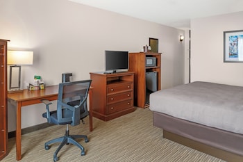 Room, 1 King Bed, Roll-in Shower