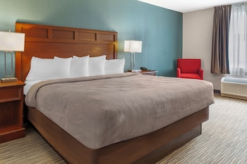 Room, 1 King Bed