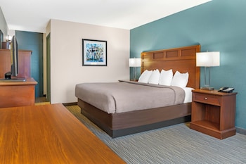 Room, 1 King Bed