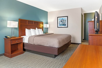 Room, 1 King Bed, Hearing Accessible