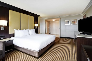 Suite, 1 King Bed