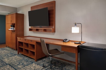 Room, 1 King Bed, Roll-in Shower