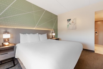 Standard Room, 1 King Bed, Non Smoking