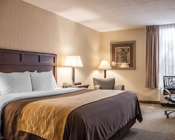 Standard Room, 1 King Bed, Non Smoking