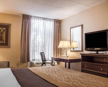 Standard Room, 1 King Bed, Non Smoking