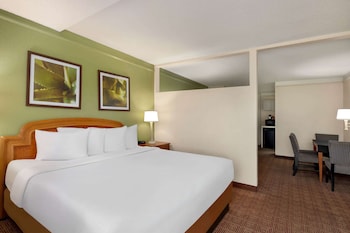 Studio Suite, 1 King Bed, Non Smoking