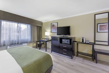 Standard Room, 1 King Bed, Accessible, Non Smoking