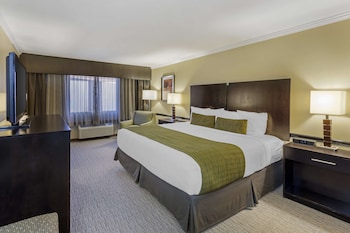 Standard Room, 1 King Bed, Accessible, Non Smoking