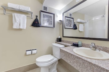 Standard Room, 1 King Bed, Non Smoking, Refrigerator & Microwave