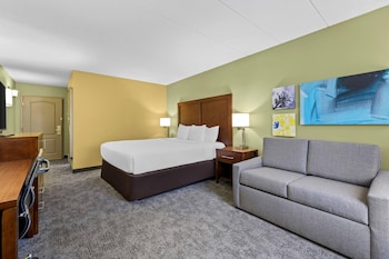 Business Room, 1 King Bed, Non Smoking