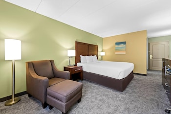 Business Room, 1 King Bed, Non Smoking