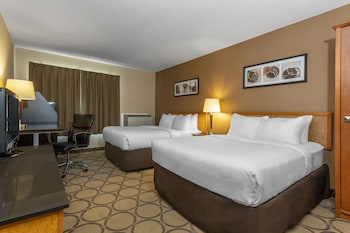 Comfort Care, Double Room, 2 Double Beds