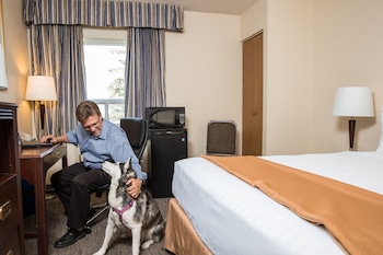 Room, 1 Queen Bed, Non Smoking (Pet Friendly)