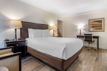 Standard Room, 1 Queen Bed, Accessible, Non Smoking (Walk-in Shower)