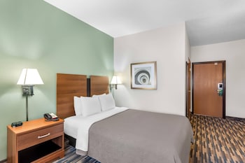 Single Room, 1 Queen Bed, Non Smoking