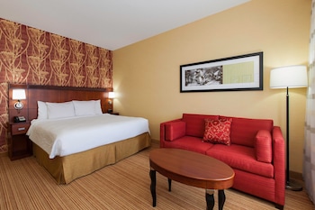 Room, 1 King Bed with Sofa bed