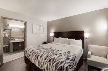 Deluxe Room, 1 King Bed, Non Smoking