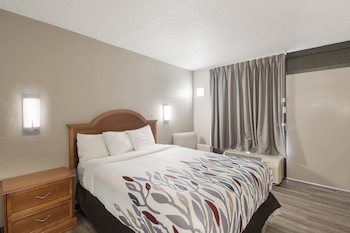 Deluxe Room, 1 Queen Bed, Non Smoking