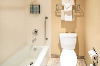 Standard Room, 1 King Bed, Non Smoking, Refrigerator & Microwave (Pet Friendly)