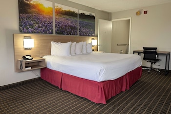 Standard Room, 1 King Bed, Accessible
