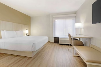 Suite, 1 King Bed, Non Smoking, Refrigerator & Microwave (with Sofabed)
