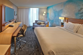 Room, 1 King Bed with Sofa bed