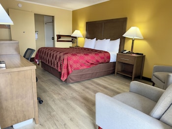 Room, 1 King Bed, Accessible, Non Smoking