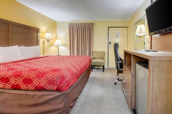 Standard Room, 1 King Bed, Non Smoking
