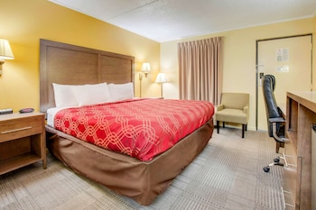 Standard Room, 1 King Bed, Non Smoking