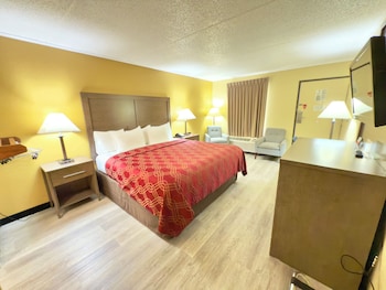 Room, 1 King Bed, Accessible, Non Smoking