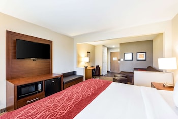 Suite, 1 King Bed with Sofa bed, Non Smoking