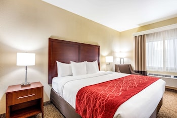 Room, 1 King Bed, Accessible, Non Smoking
