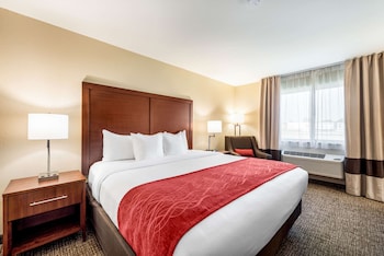 Suite, 1 Queen Bed with Sofa bed, Non Smoking
