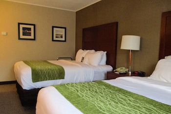Standard Room, 2 Queen Beds, Non Smoking