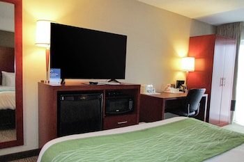 Room, 1 King Bed, Non Smoking