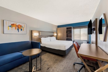 Standard Room, 1 King Bed with Sofa bed (With Sofa Bed)