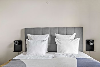 Standard Room, 1 King Bed, Non Smoking, Kitchen (with Sofabed)