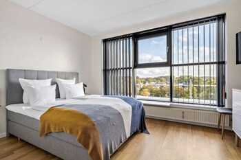 Standard Room, 1 King Bed, Non Smoking, Kitchen (with Sofabed)