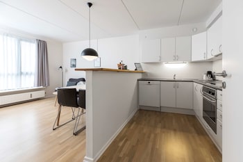 Standard Room, 1 King Bed, Non Smoking, Kitchen (with Sofabed)