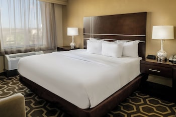 Suite, 1 King Bed