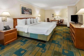 Room, 1 King Bed, Non Smoking