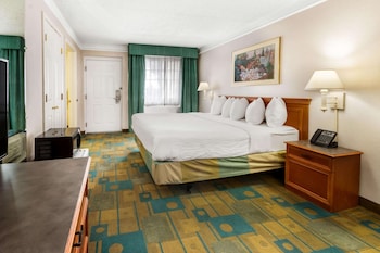 Room, 1 King Bed, Accessible, Non Smoking (Roll-In Shower)
