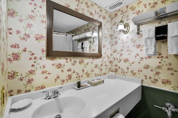 Deluxe Room, 1 Queen Canopy Bed