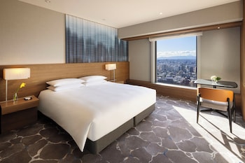 Room, 1 King Bed, Park View