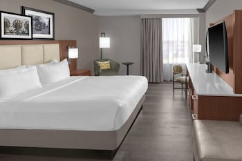 Room, 1 King Bed (Hearing)