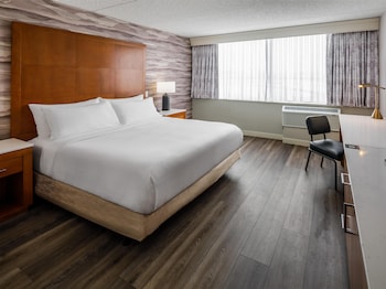 One King Bed, Accessible, Roll In Shower
