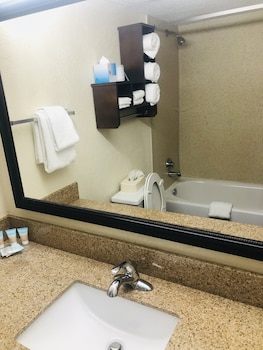 Basic Single Room