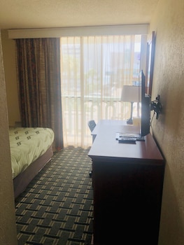 Basic Single Room